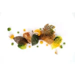 1000x1000_thumb_st003562_4-1.webp