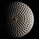 20.408.13.0065_HONORE_EXTRA_1_1.webp