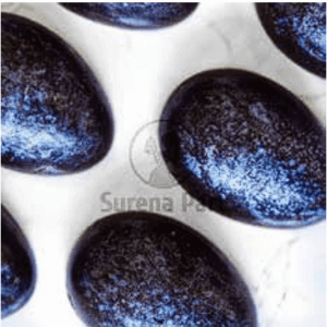 Çikolata Kalıbı Surenapart Pcc014