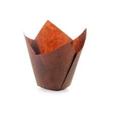 Erkap Tulip Kahverengi 150 Li