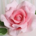 FVC04-02-600x600-1-2.webp