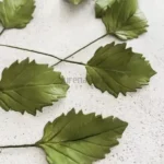 FVC09-02-600x600-1-2.webp