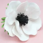 FVC14-02-600x600-1-2.webp