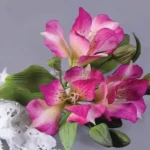 FVC15-02-600x600-1-2.webp