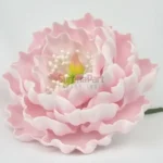 FVC16-02-600x600-1-2.webp