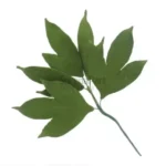 FVC17-02-600x600-1-2.webp