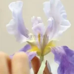 FVC21-02-600x600-1-2.webp
