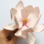 FVC29-02-600x600-1-2.webp