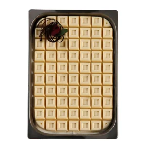 Pavoni Top101s Tablet Dondurma Kalıbı